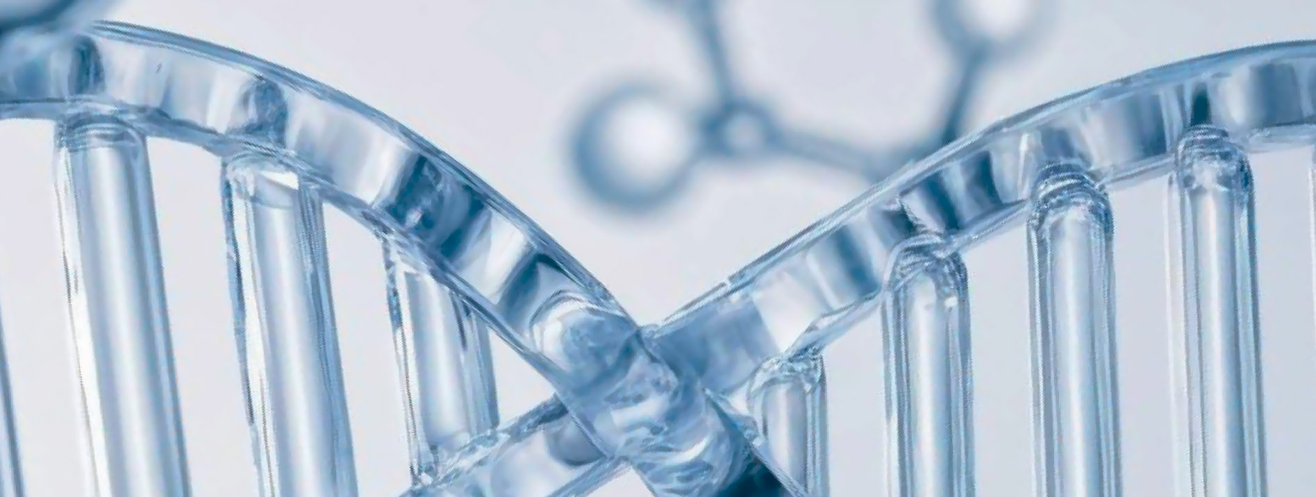 TARF-Targeted Antitumor Response Panel